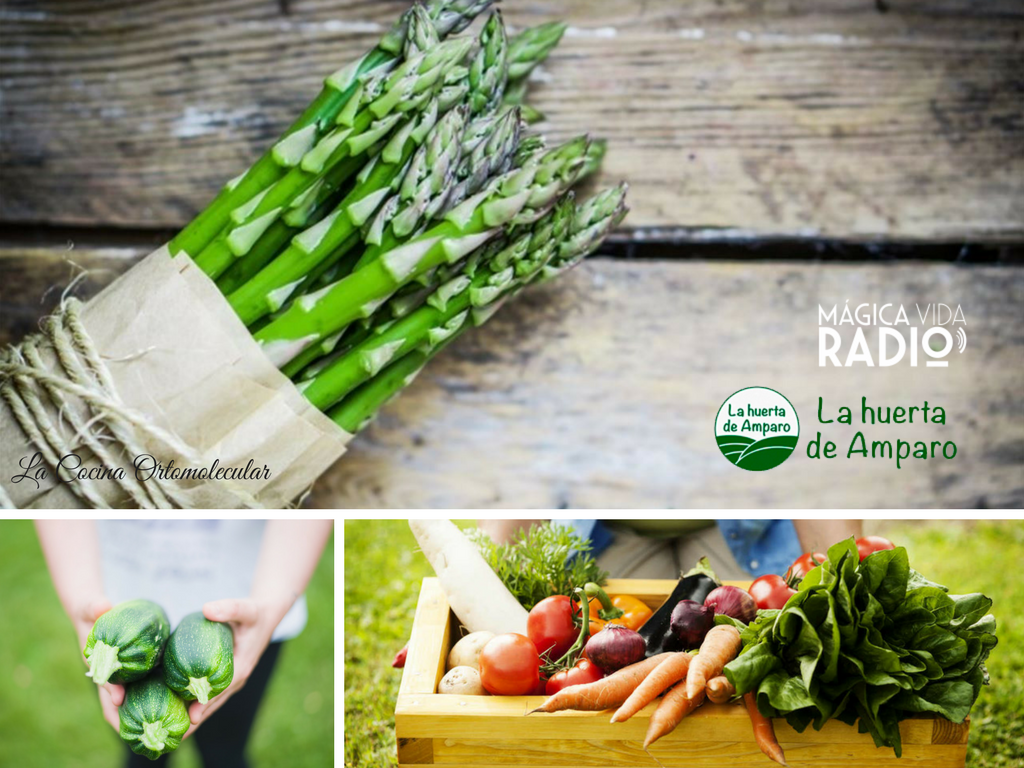 La huerta de Amparo, tienda de alimentos ecológicos de producción local